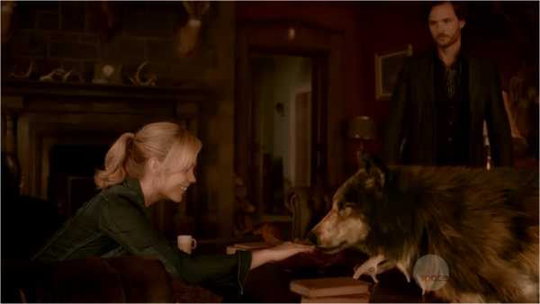 In 'Bitten's flashback, Elena (Laura Vandervoort) is SUPER CASUAL about meeting a giant wolf in person